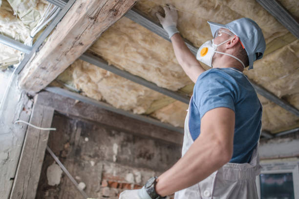 Best Residential Insulation in Garden City, ID
