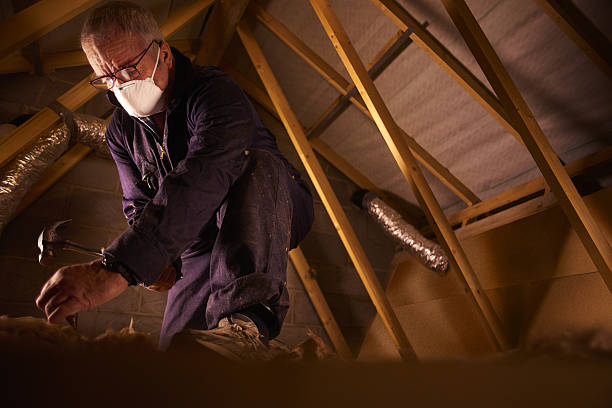 Best Cellulose Insulation in Garden City, ID